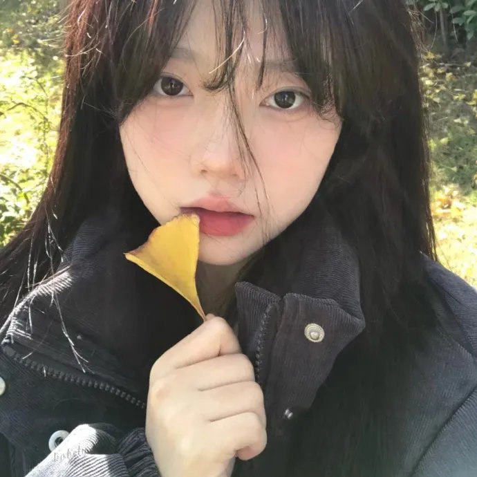 甜木兰第三季